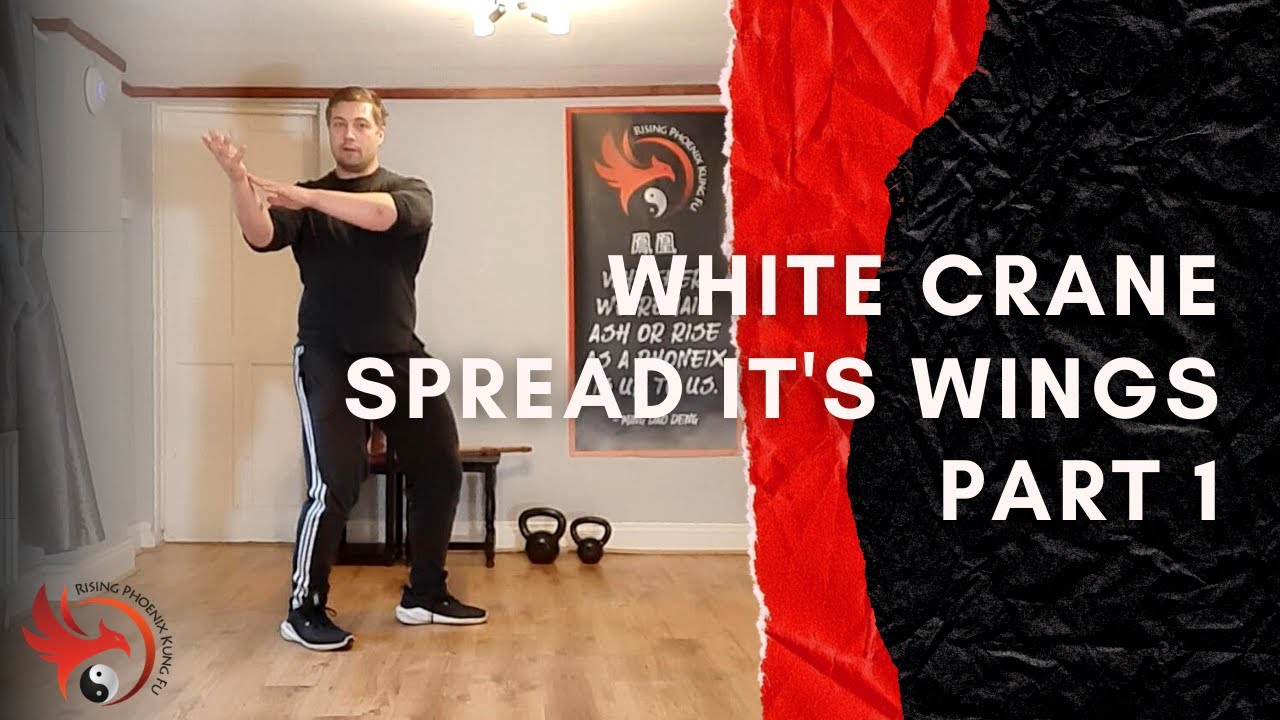 Let's Try Tai Chi: White Crane Spreads Its Wings part 1 白鹤亮翅