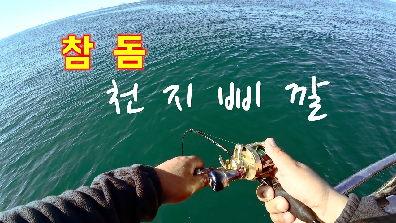 참돔이 천지삐깔~!(4K 풀영상) #완도 #참돔 #타이라바 #tairubber #바이브2호