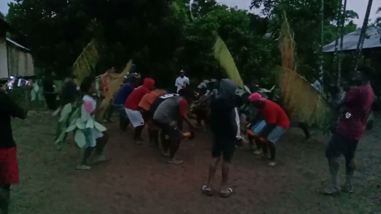 dansa adat suku berik tane., distrik ismari