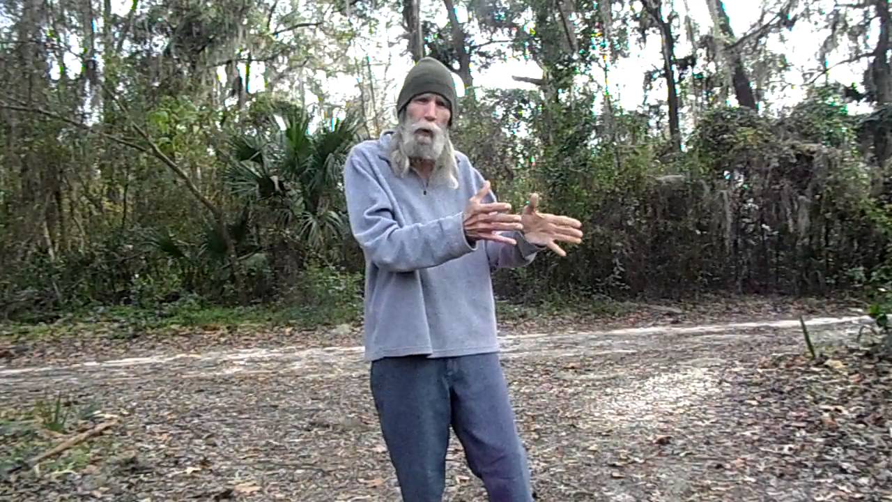 Lynyrd Skynyrd Gimme Three Steps Story Behind the Song Part 1