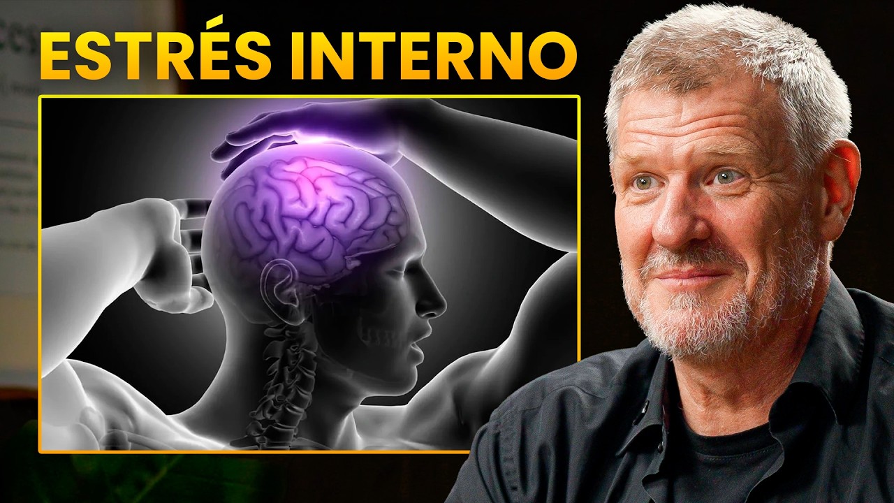 Esto Ocurre en tu Cerebro cuando Percibe una Amenaza (Neurocientífico)
