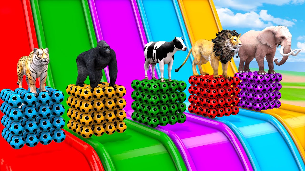 Elephant Cow Lion Tiger Gorilla 3d Animal Crossing Fountain Game Funny 3d Animals Long Slide Game