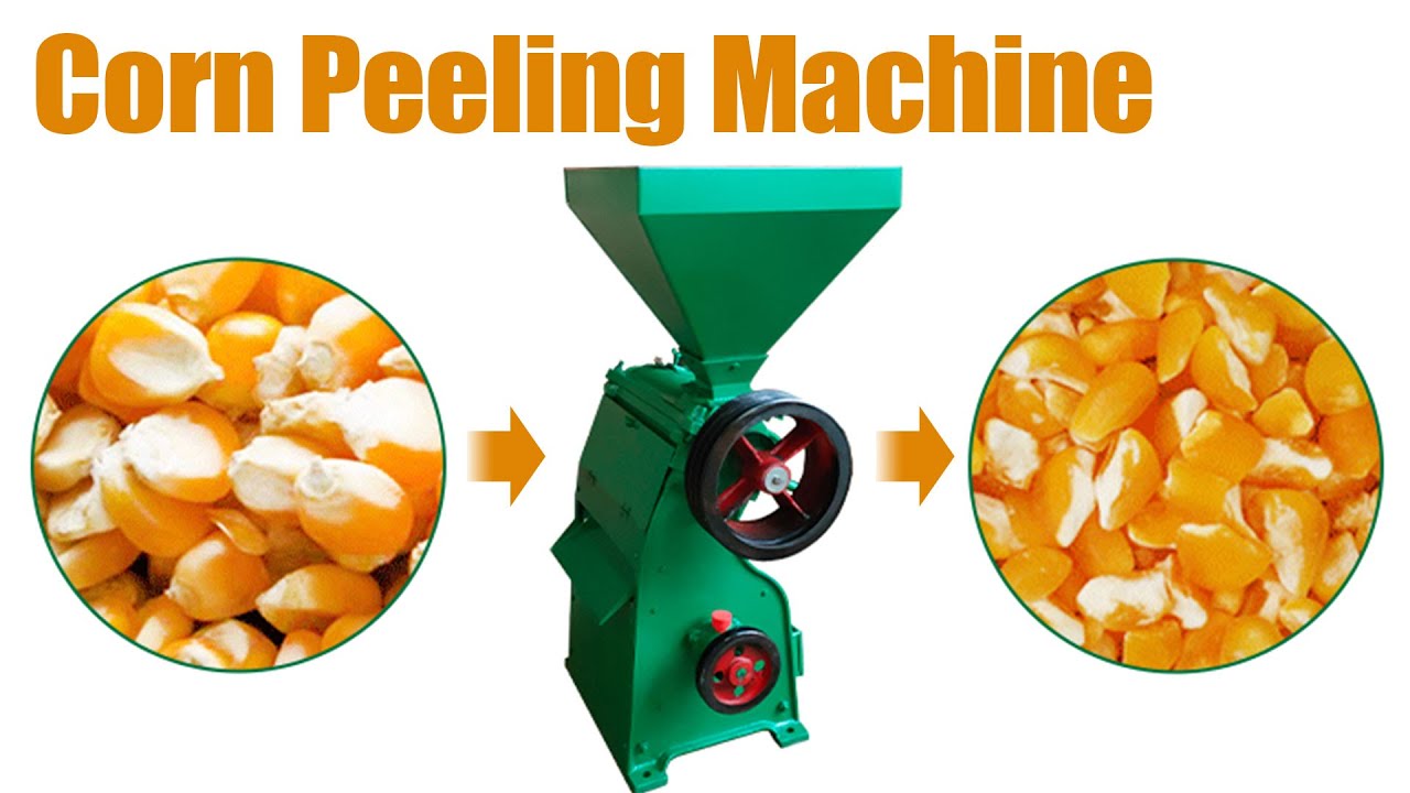 High Efficiency Corn Peeling Machine | How Does Corn Kernel Peeling Machine Work?#agriculture