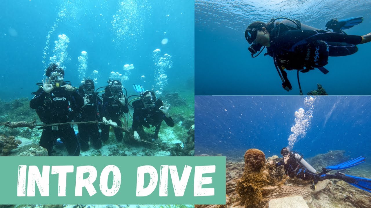FIRST TIME SCUBA DIVING IN MACTAN CEBU PHILIPPINES (A MUST TRY FOR BEGINNERS)