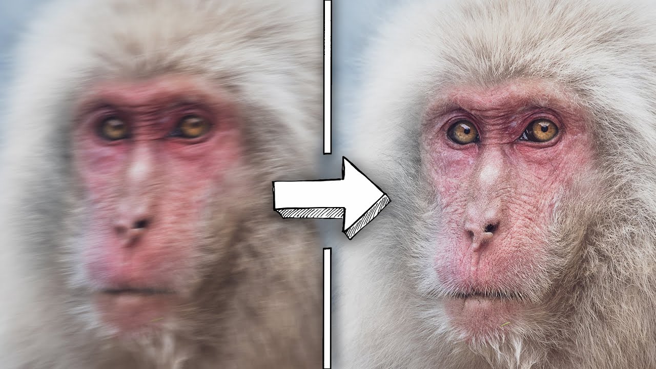 FOTO TREMIDA? FAÇA ISSO PARA CORRIGIR
