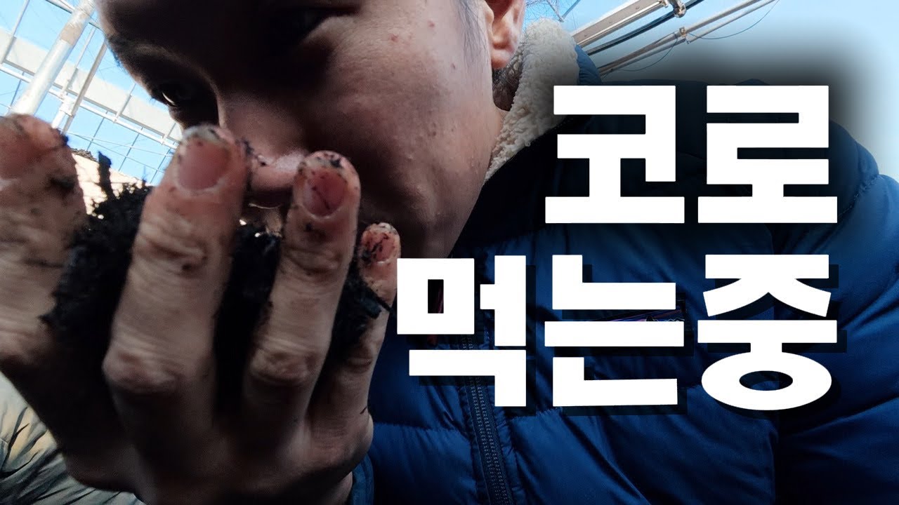 퇴비공장 다녀와서 코 뚫림; | 모리로그 ep.1