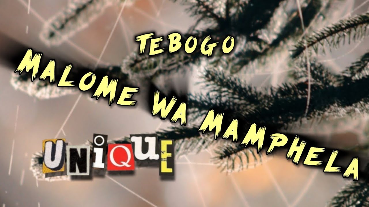 Malome wa Mamphela ( Brian Bomba ) Mix - Tebogo