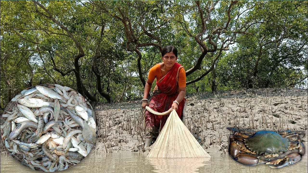 আজ নন্দিতা জাল ফেলতে গিয়ে ভীষণ খুশি হলো জালে মাছ সাদা হয়ে গেল || Nandita Sundarban life