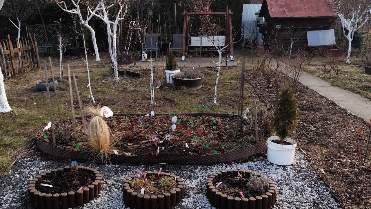 PrzedwiosennY SPACEREK po naszej  DZIAŁECZCE 13.03.2026.
