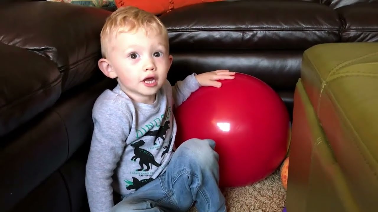 Mitchell's Videos - 2019