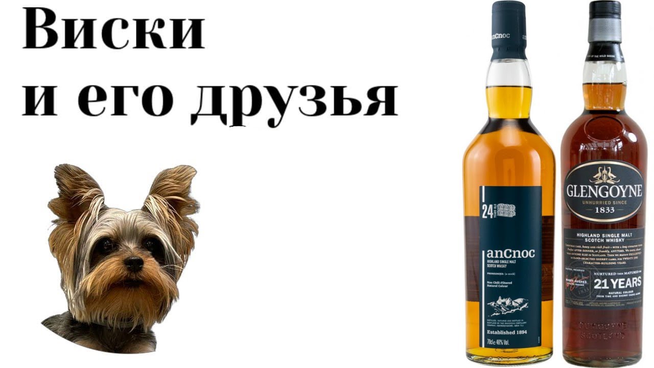Кто лучше anCnock 24 или Glengoyne 21
