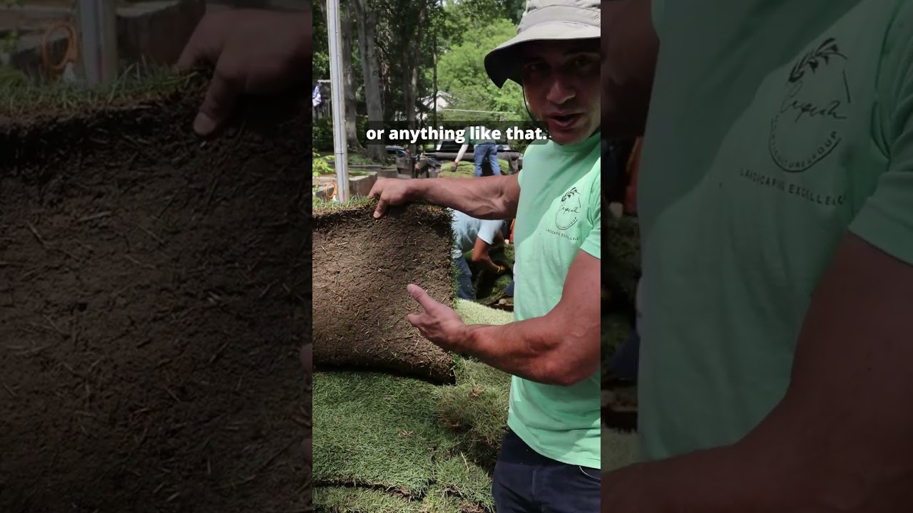 Emerald Sod is a must!