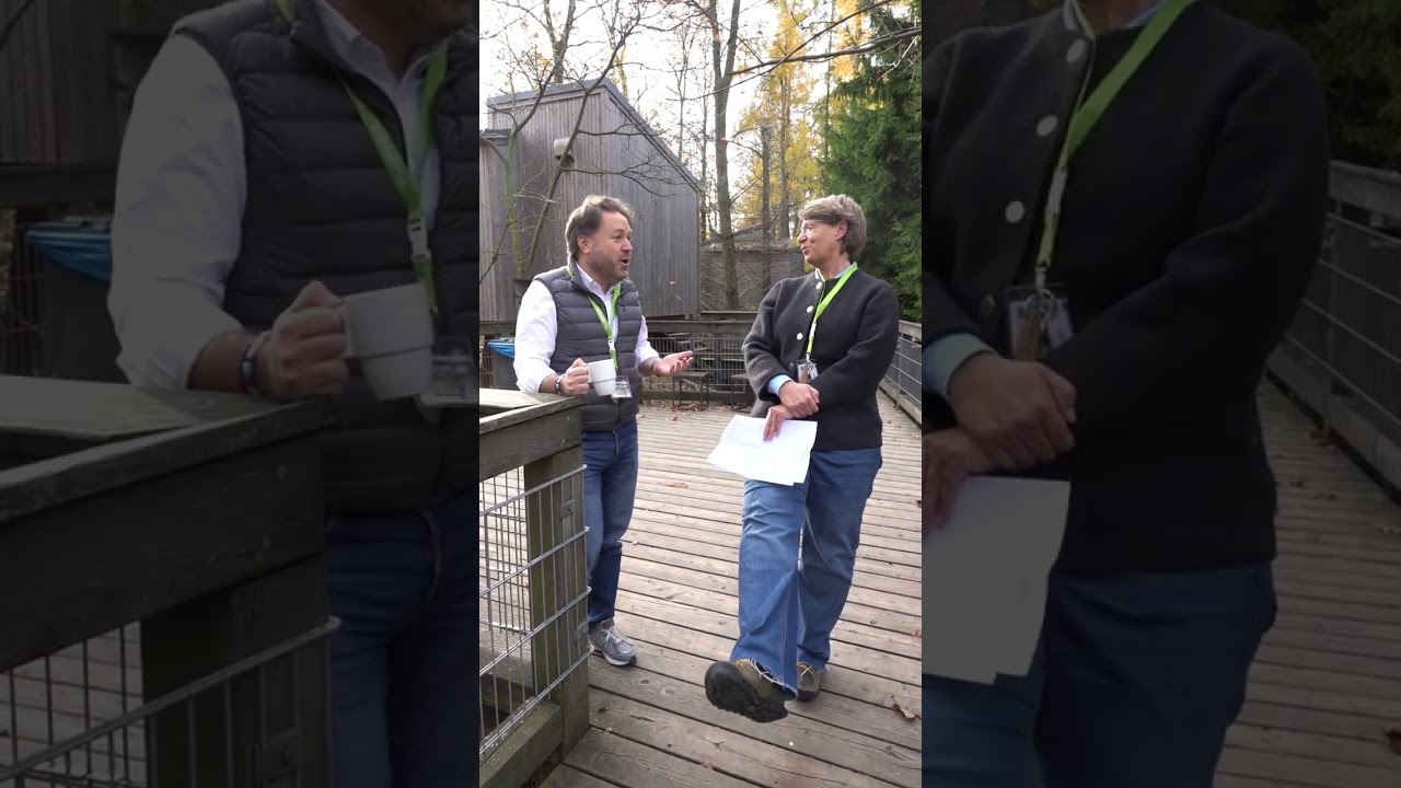 Premiere des ARD Polithrillers Verschollen Interview mit Regisseur Daniel Harrich