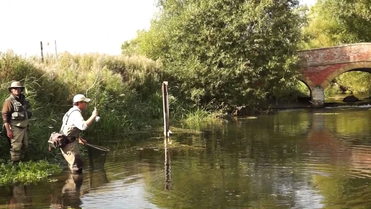 Chalk stream fly fishing