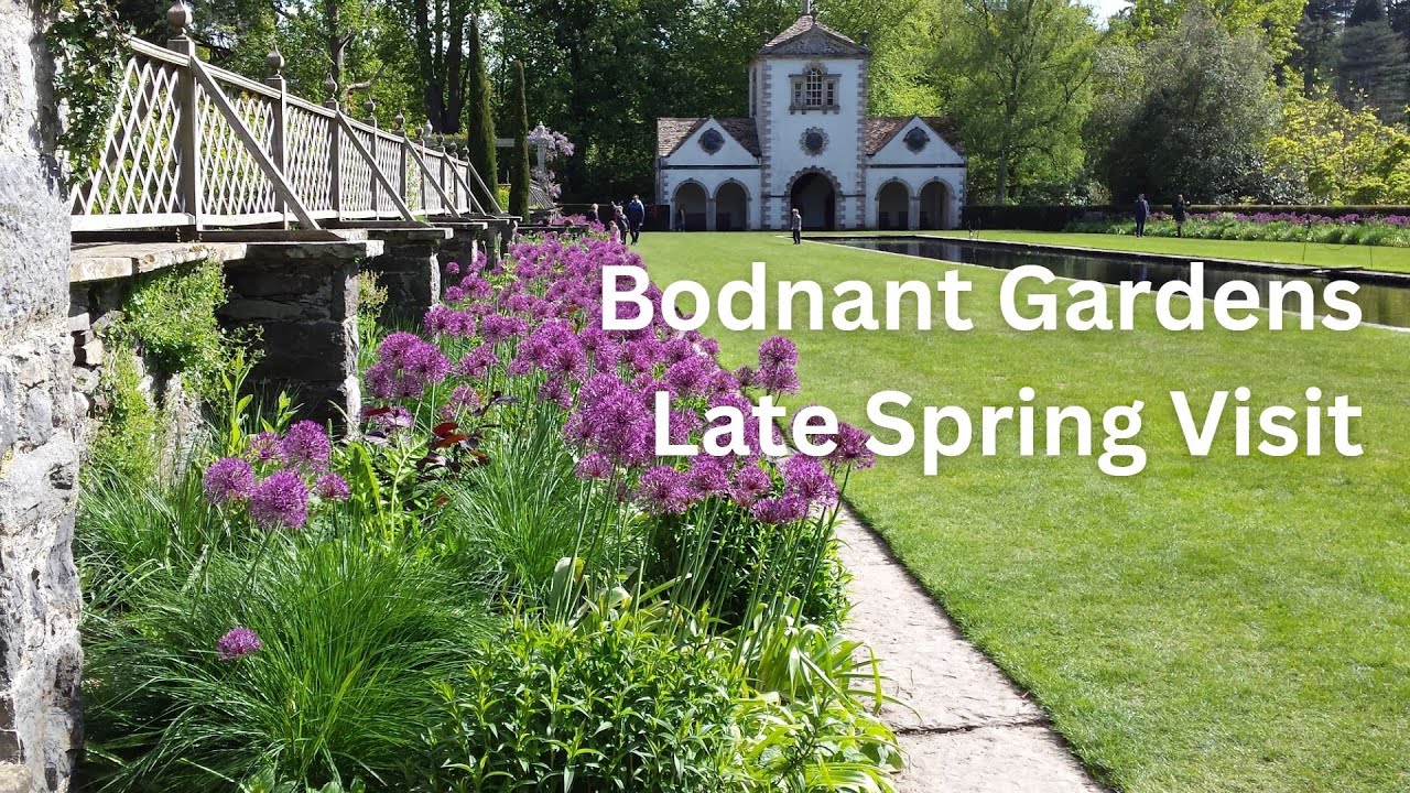 Bodnant Garden Spring Visit | Beautiful Gardens to Visit in Wales | National Trust | Laburnum Arch