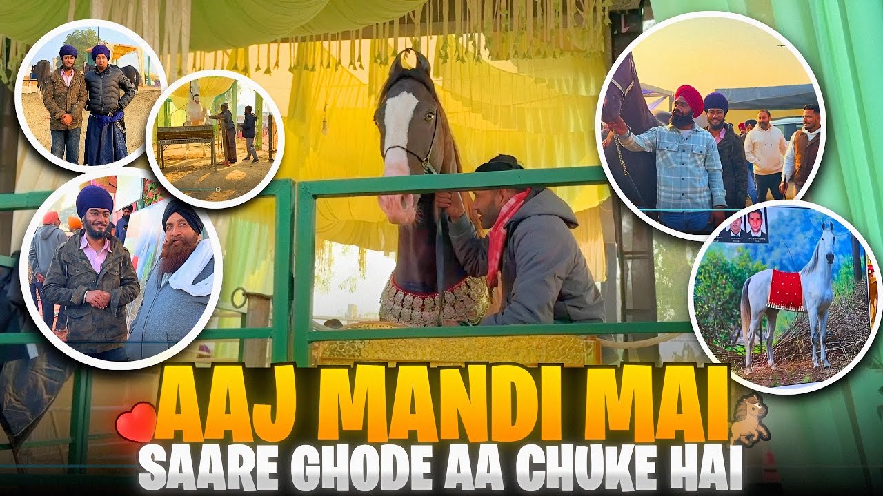 INDIA KE SARE SHAANDAR GHODE EK HI JAGAH PAR || SRI MUKTSAR SAHIB HORSE FAIR 2026 || 
