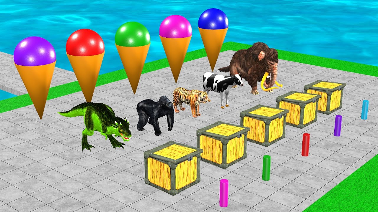 Wild Animals Running And Jumping Game With Gorilla Choose The Right Magic Box Challenge Video