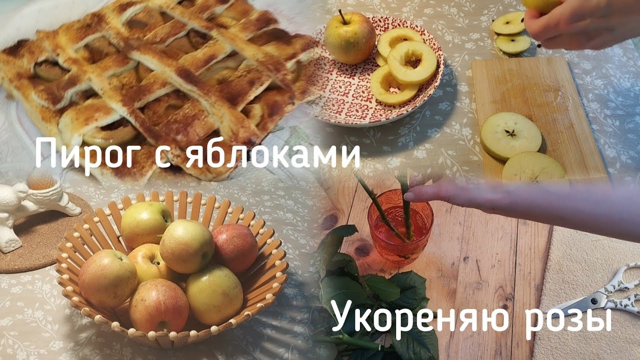НЕ ПОЛУЧИЛОСЬ.КАК СПАСТИ РОЗЫ
