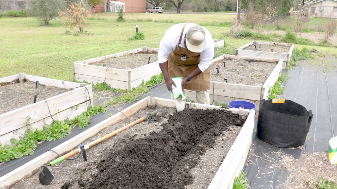 Planting Potatoes in a Raised Garden Box