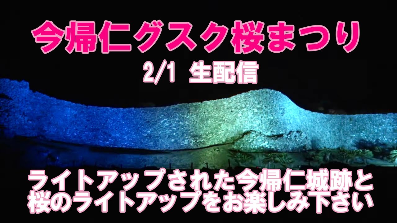 【2/1】第15回今帰仁グスク 桜まつり 夜桜ライトアップ オンラインイベント