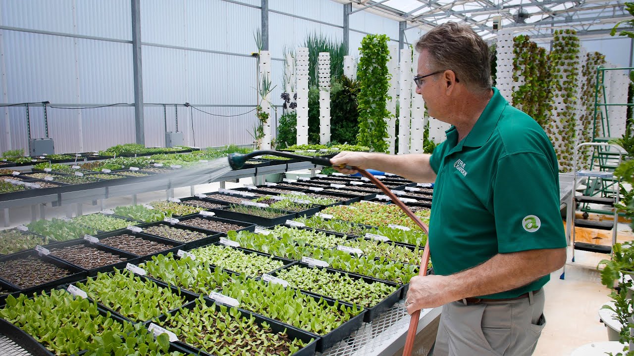 USDA GHP GAP Certified Seedlings | True Garden