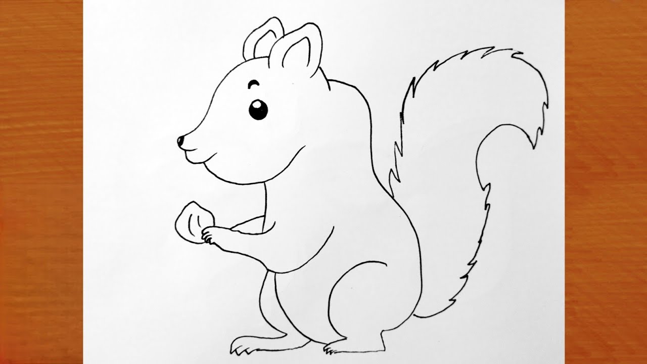 How to draw an easy and cute squirrel pictures step by step tutorial | sketch 