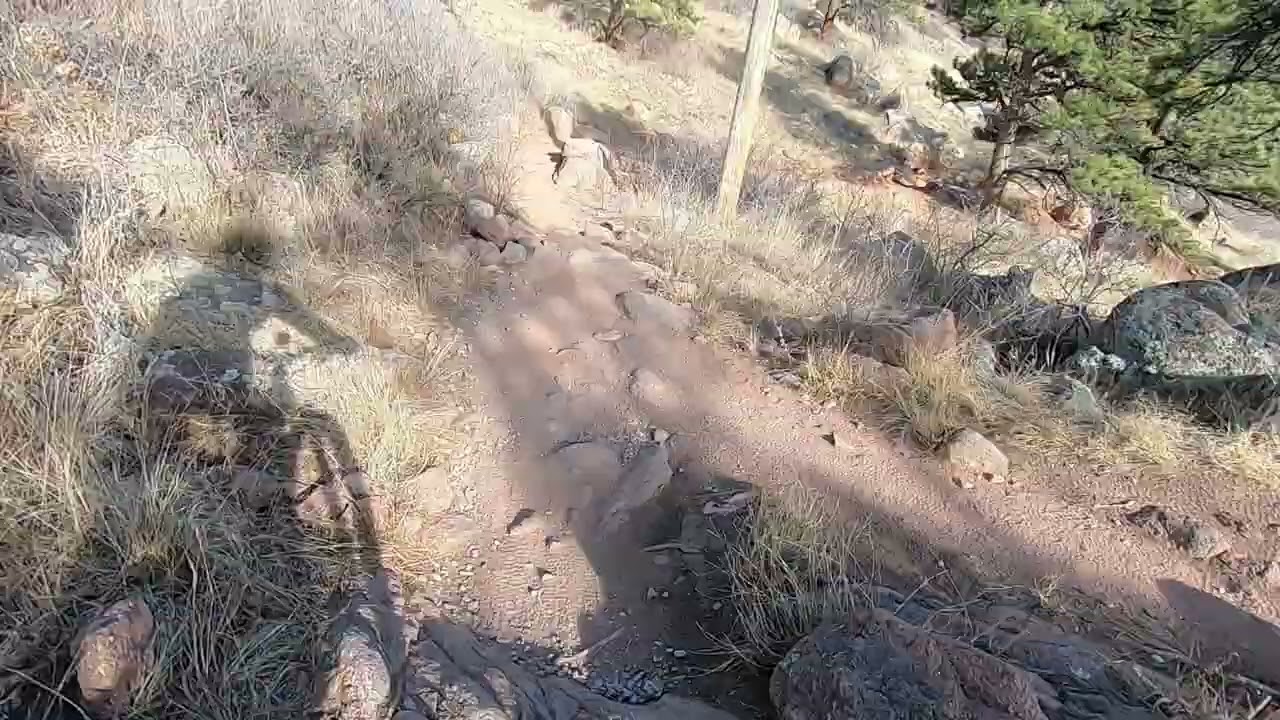 2026 01 rock garden