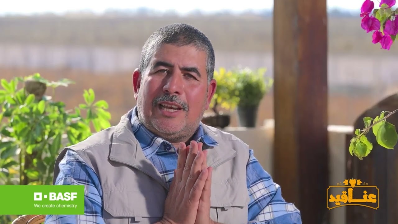 مرحلة السكون في شجرة العنب في فصل الشتاء وأهم معاملات المرحلة