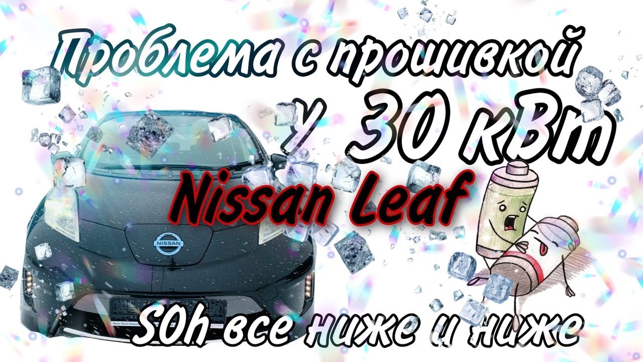 Проблема с прошивкой у 30 кВт. Nissan Leaf