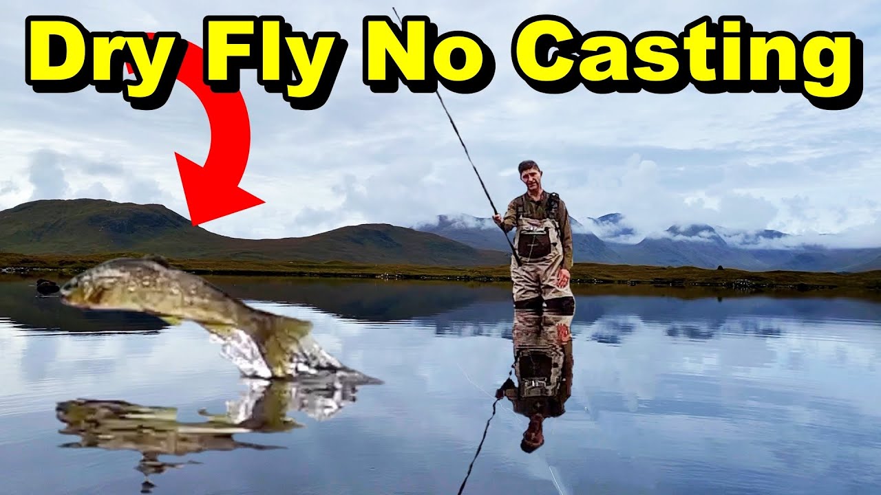 I Wish I Knew This Before I Started Dry Fly Fishing?