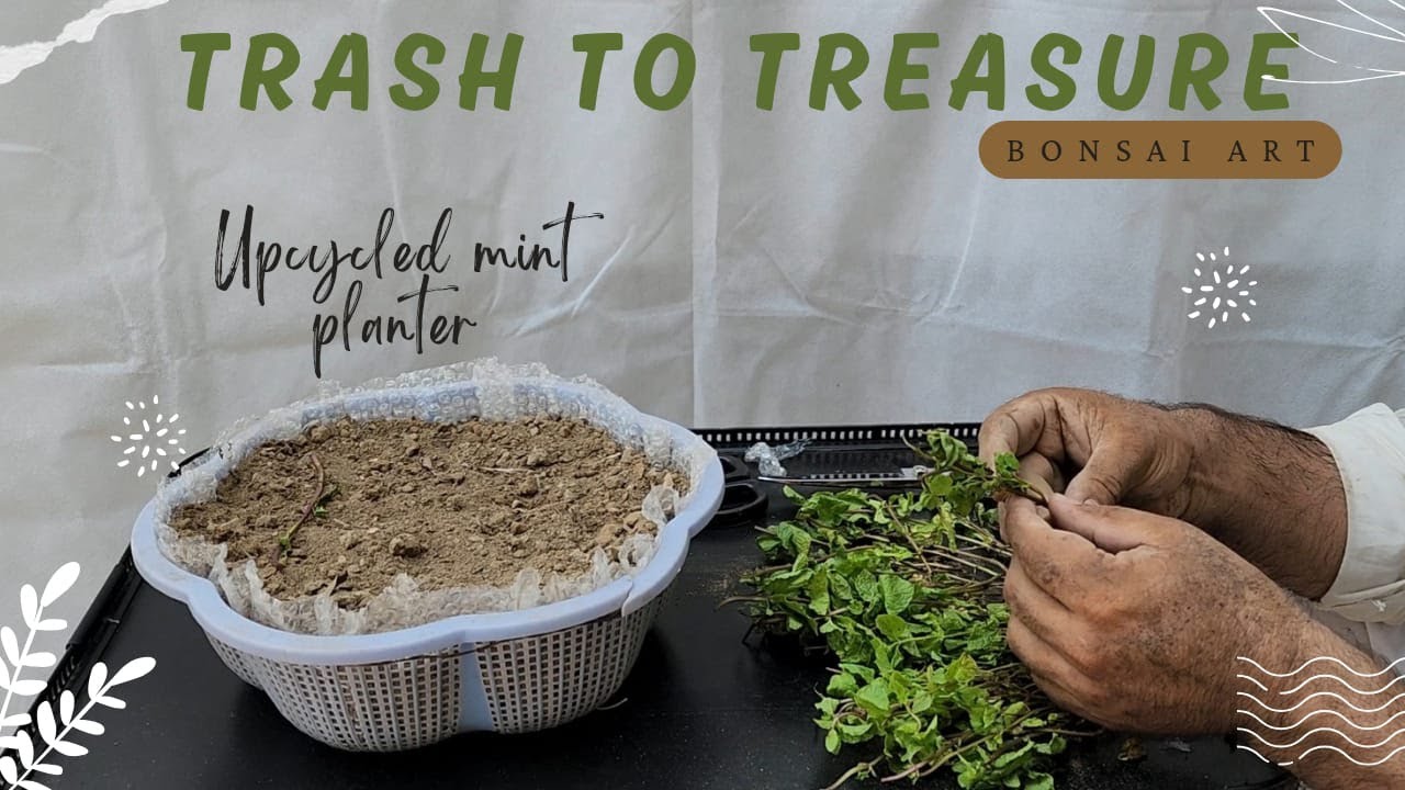 Get Creative, Go Green: Turning Trash into Minty Fresh Planter | Part-1| @Bonsaiart324
