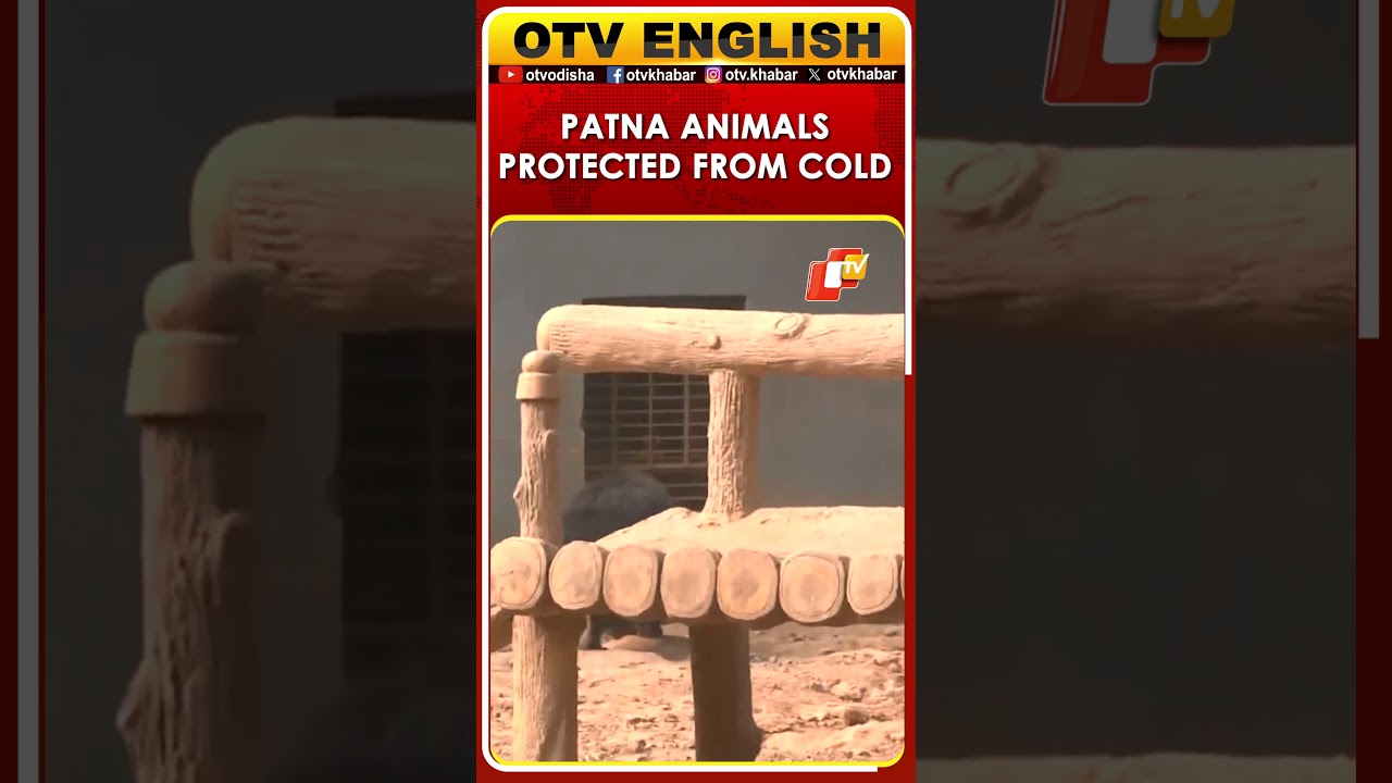 Patna Bihar: Animals Protected From Cold In Sanjay Gandhi Biological Park | OTV