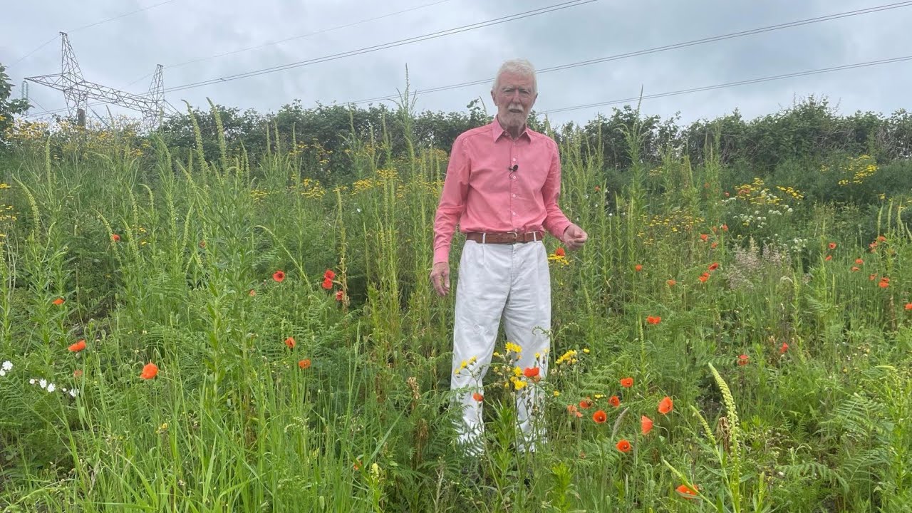 Weld with John Feehan, Wildfowers of Offaly series