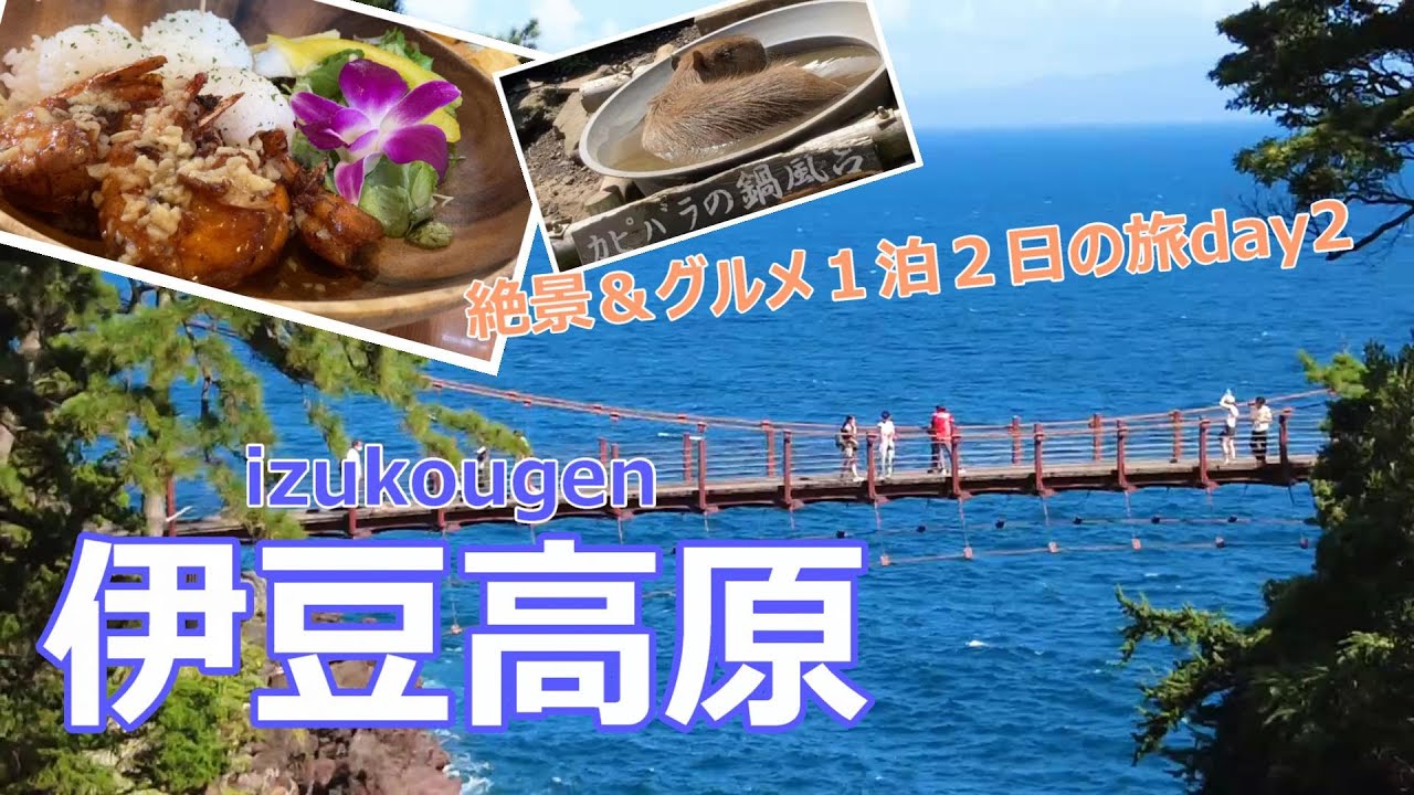 【伊豆旅行vlog】伊豆高原の絶景＆グルメ満喫旅♪　大室山｜伊豆シャボテン動物公園｜城ケ崎海岸［伊豆高原の旅＃３］