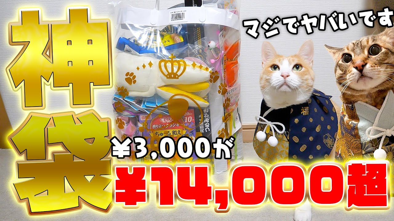 【神袋】開店前に完売する”猫用の福袋” の中身が最高にヤバすぎました…【¥3000→¥14000超】