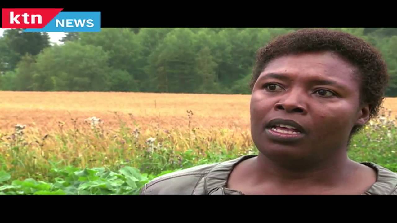 Daring Abroad: Emma, from house-help to teacher/farmer  in Norway