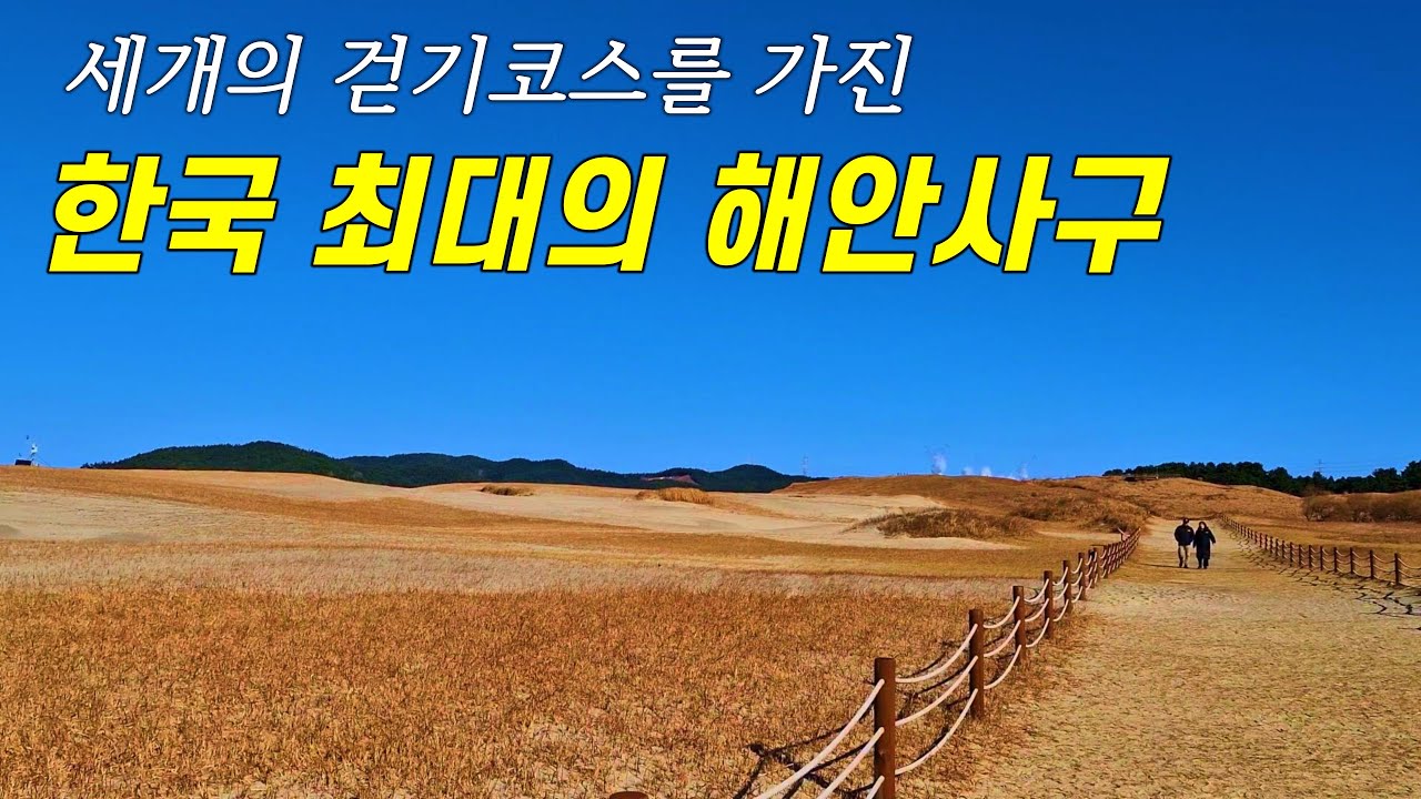 오직 하나뿐인 지도를 만드는 중 - 한국 최대의 모래 언덕을 걷습니다