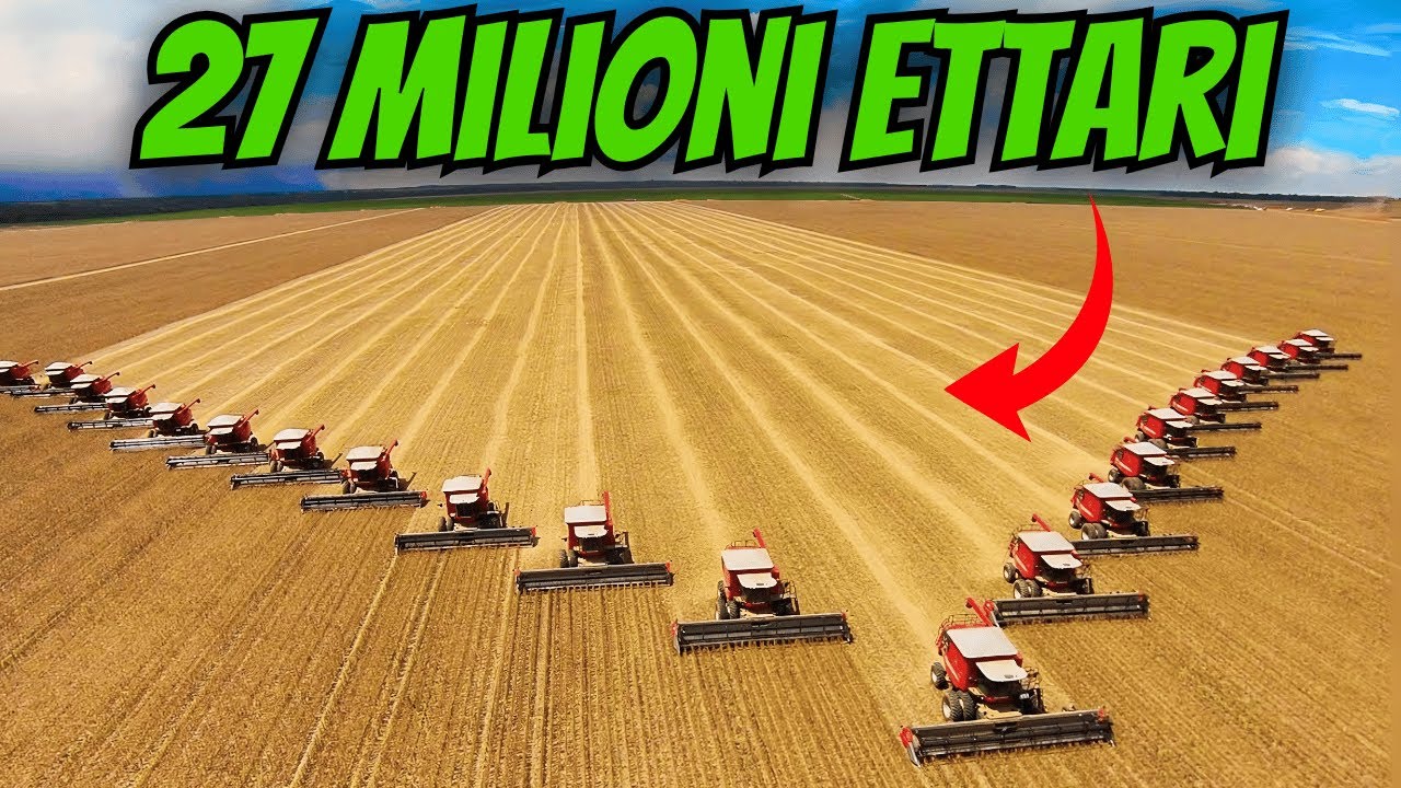 SCOPRI LA FARM PIÙ GRANDE AL MONDO!