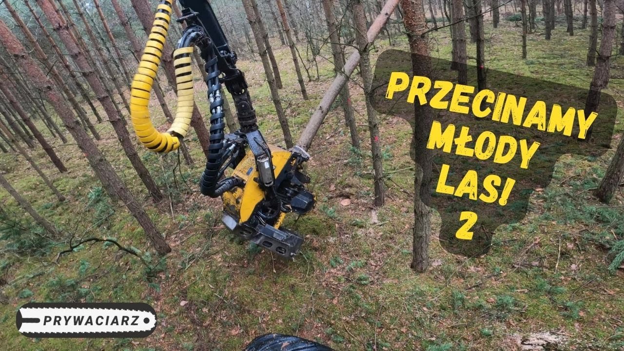 PRZECINAMY MŁODY LAS 2🌲OPERATOR HARWESTERA🌲Ponsse Ergo 🌲PRYWACIARZ