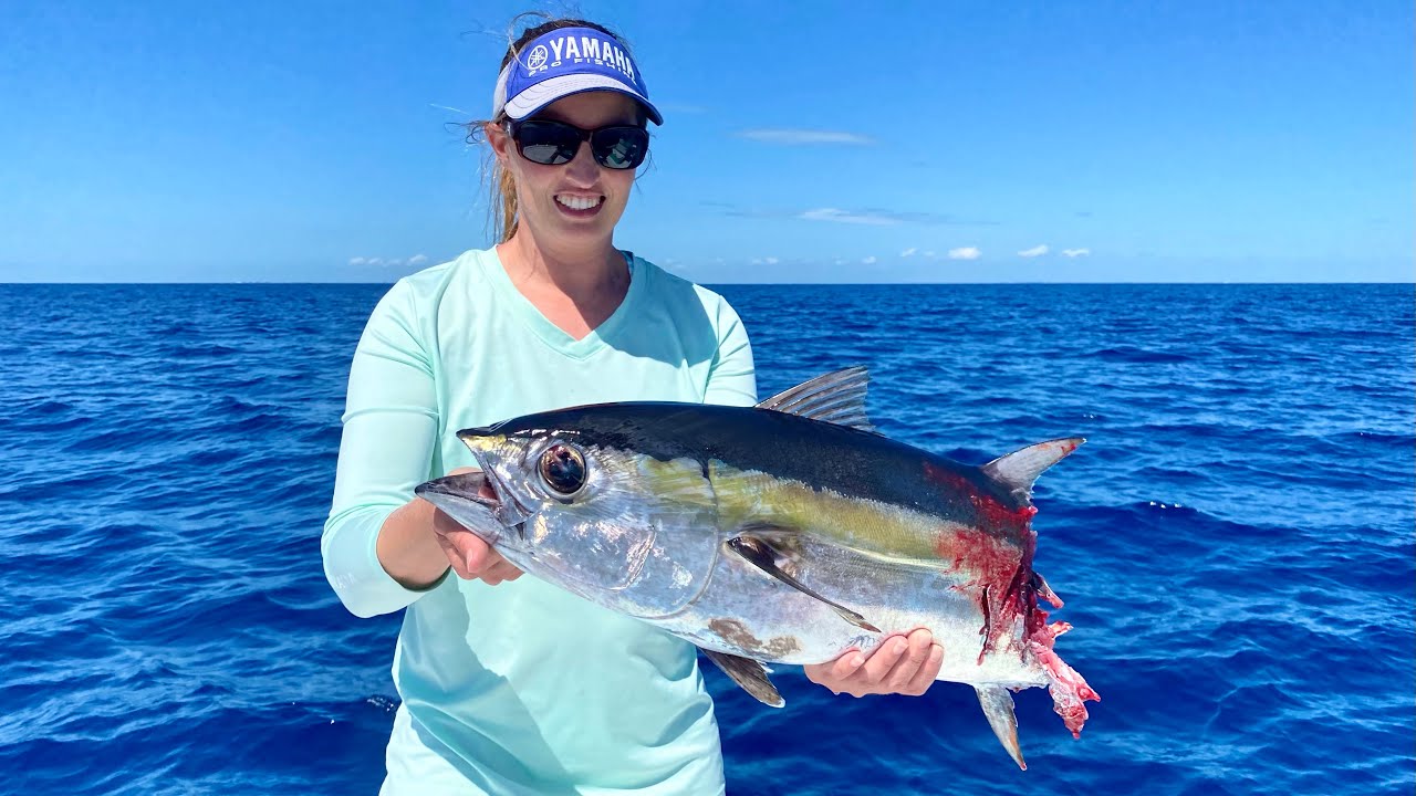 Tuna *ATTACKED* by Giant Barracuda on NEW Boat!! Catch/Clean/Cook