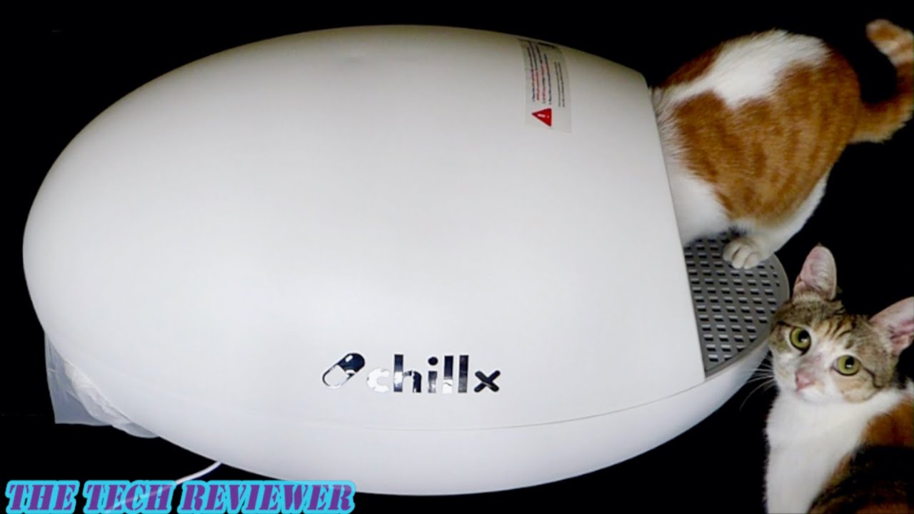 ChillX AutoEgg Automatic Litter Box: Unboxing and Litter-Robot Comparison!