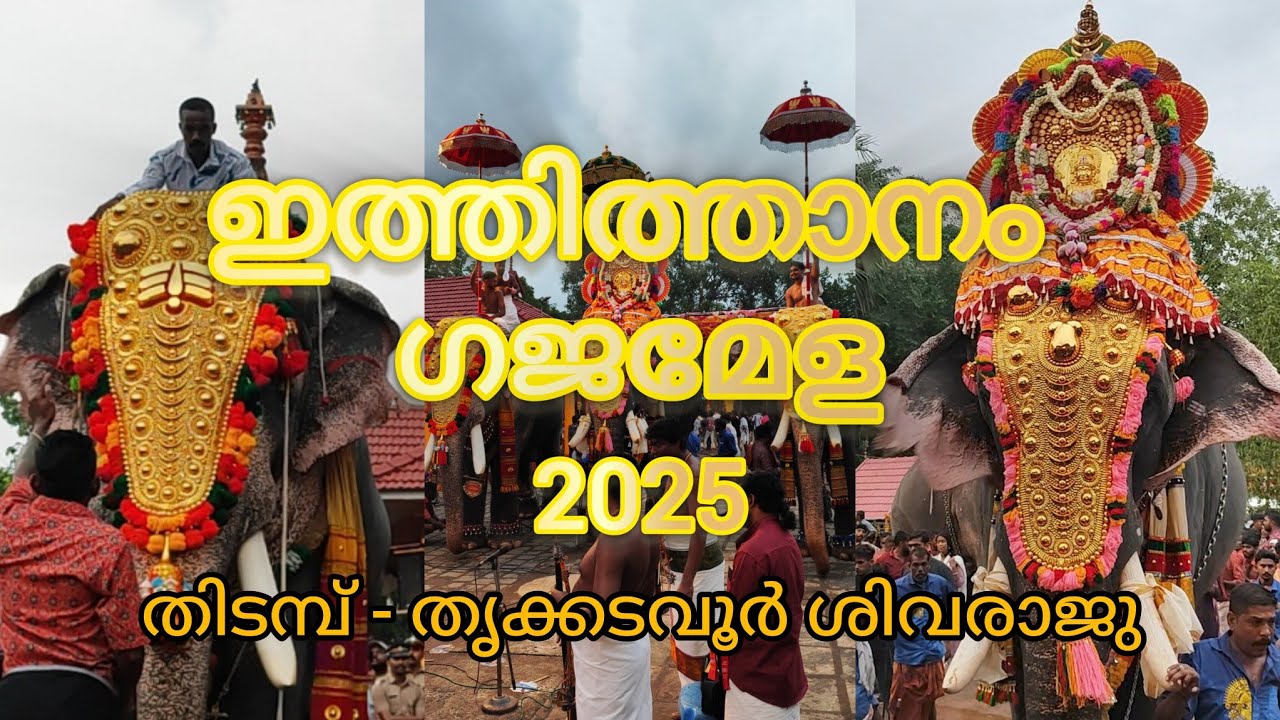 Ithithanam Gajamela 2025 / ഇത്തിത്താനം ഗജമേള Ithithanam Elamkavu Devi Temple #ithithanamgajamela