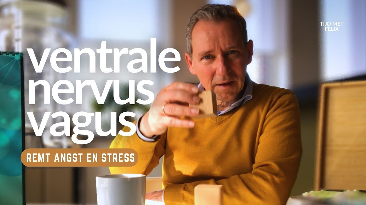Ontdek je Rem voor Angst, Stress en Paniek: de Ventrale Nervus Vagus
