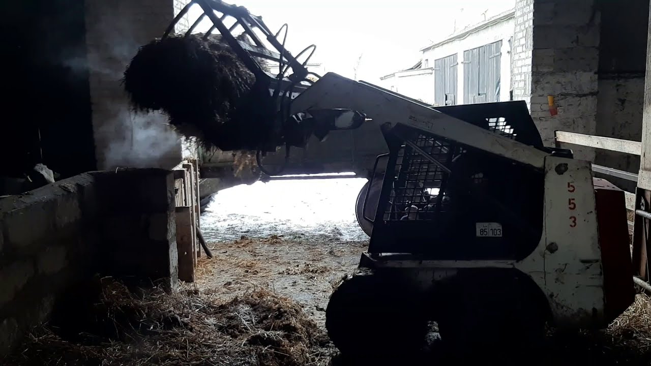 Wyrzucanie obornika bobcatem