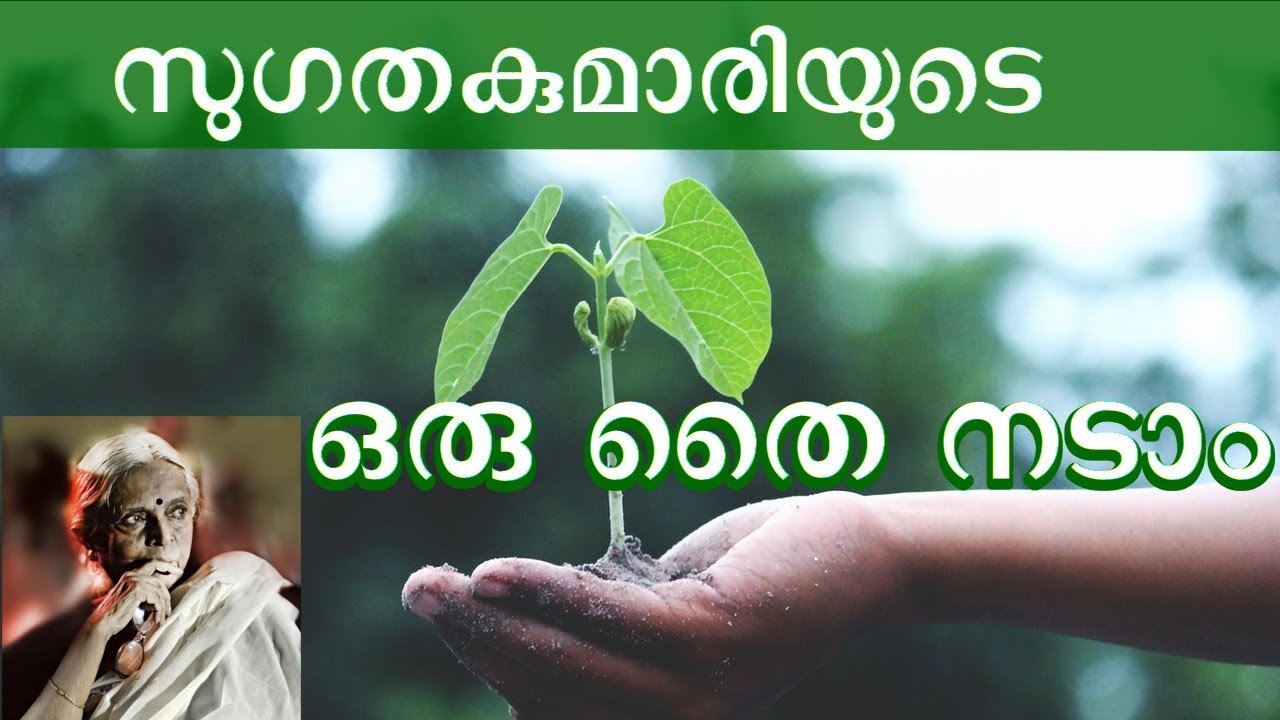 Oru Thai Nadam |Malayalam Poem |Sugatha Kumari | LYRICAL VIDEO|ഒരു തൈ നടാം | സുഗതകുമാരി @AnuArjun