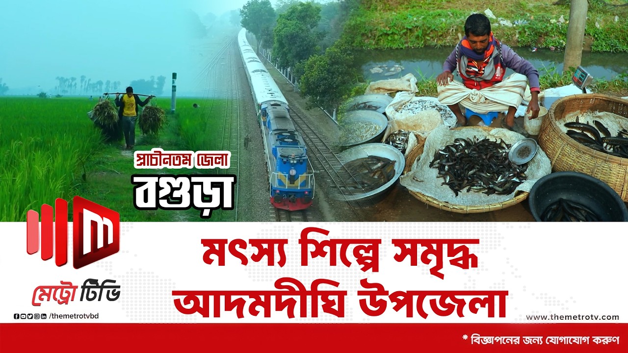 আদমদিঘির মানুষের জীবনযাত্রা| Metro Tv bd