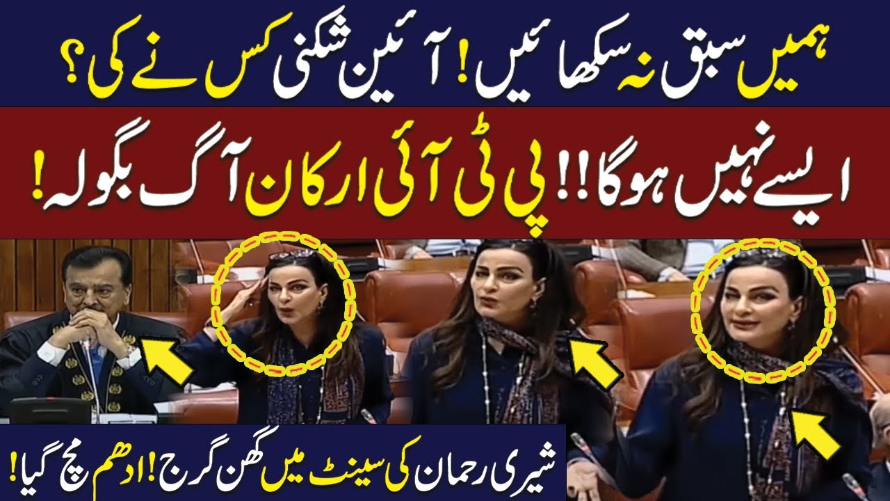 PPP sherry rehman Aggressive Speech In Senate | sherry rehman reply to PTI Senators | WE News