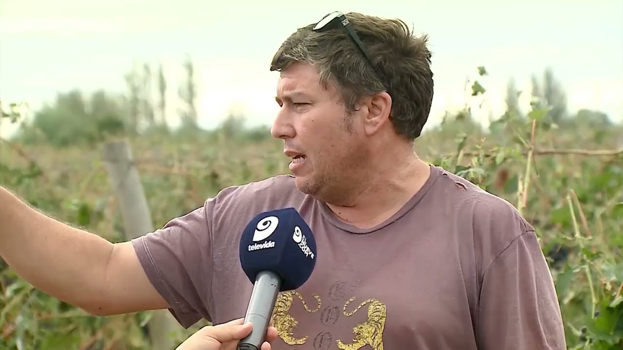 Mendoza: más de 5.000 productores lo perdieron todo por la tormenta de granizo