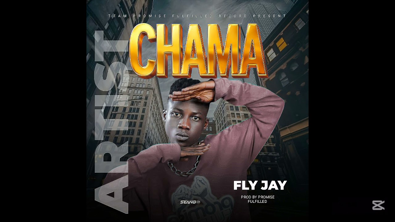 Fly Jay _ Chama Artist prd by promise fulfilled (official audio visualizer)