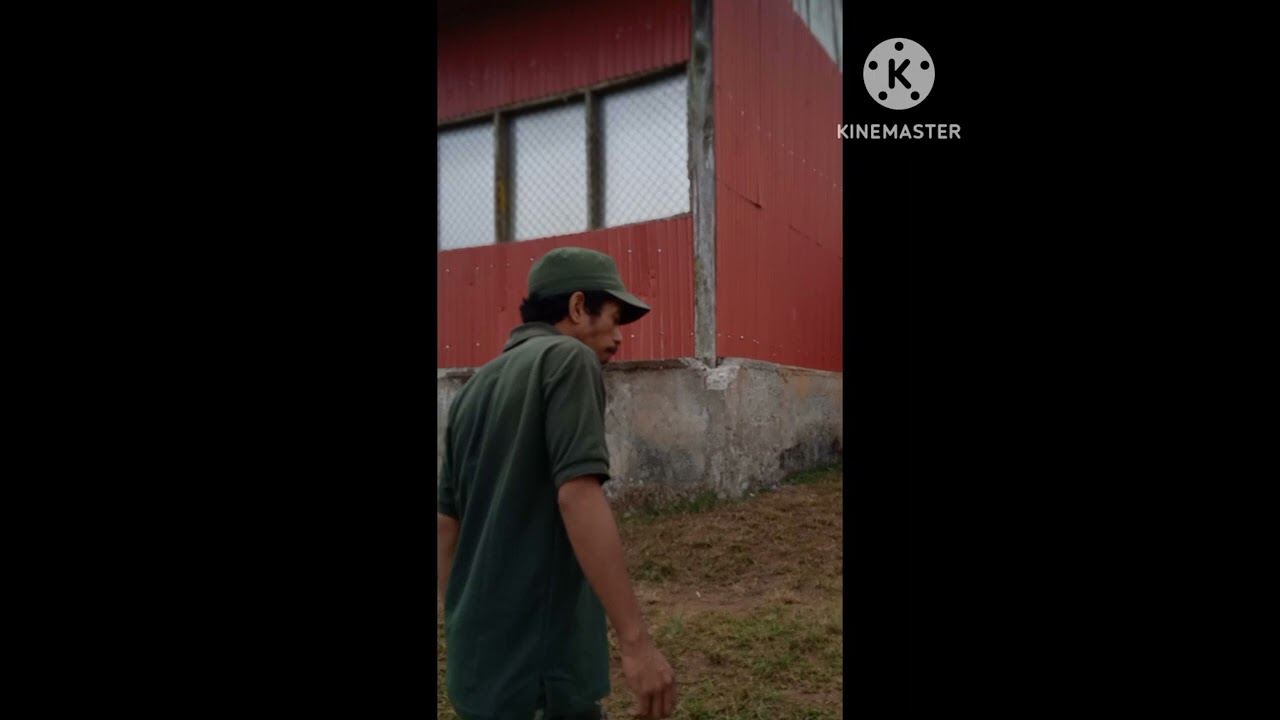 Alipio Full Musik 🤟🔥
